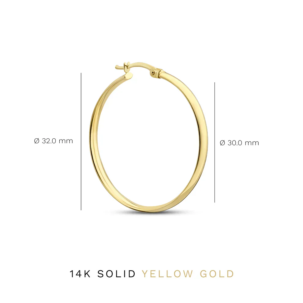 Noa Serane Earrings | White Gold 14k - Image 5
