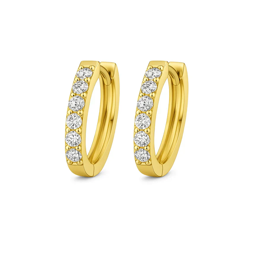 Sundream Huggie Earrings